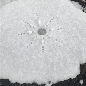 concentric design in snow